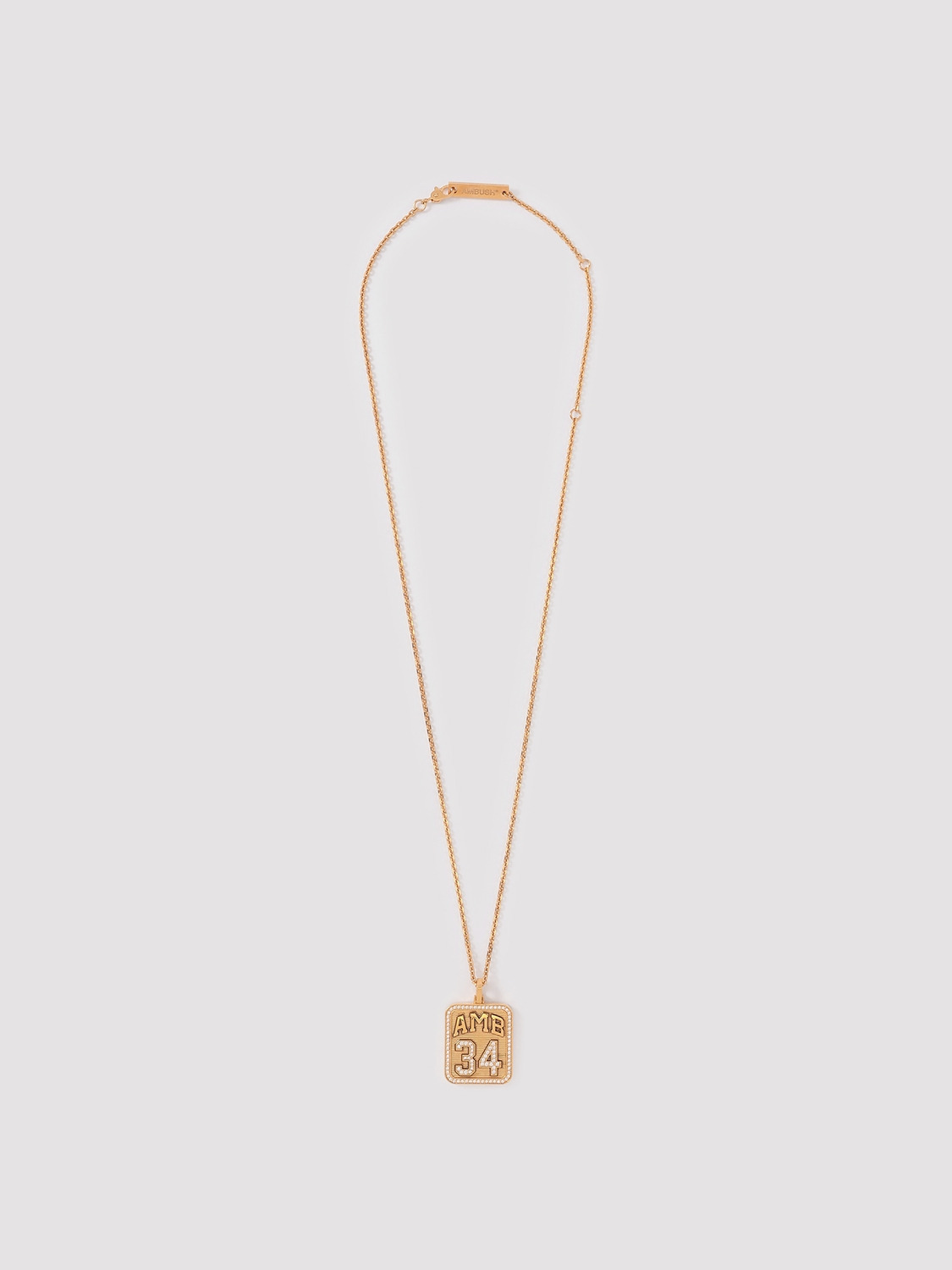 AMB 34 CHARM NECKLACE 詳細画像 Gold 2